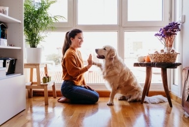 Vrouw doet highfive met golden retriever
