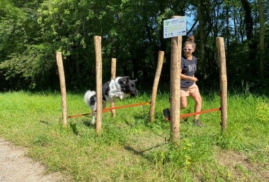 Drie hordes tijdens de wandeling