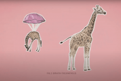 babygiraf valt van hoog bij de geboorte