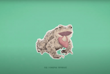 kikker braakt eigen maag uit