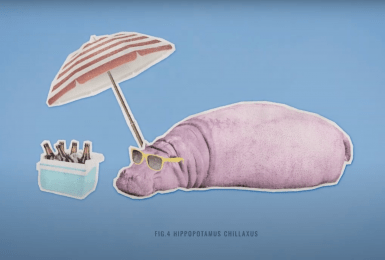 nijlpaard zweet in het roze