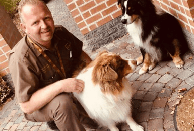 Koerier brengt pakje mee voor elke hond