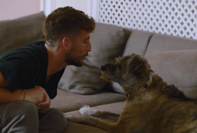 Ontmoet Juliette, de trouwe viervoeter van Dries Mertens en Kat Kerkhofs!